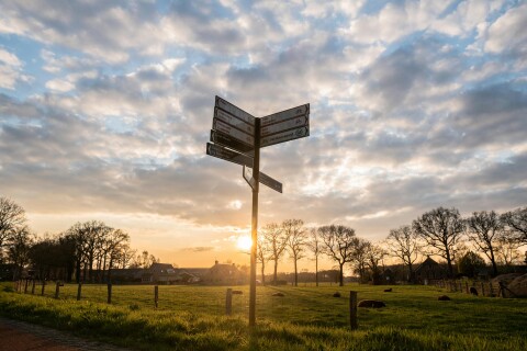 Pexels matthiasgroeneveld 2154390